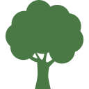 arbre